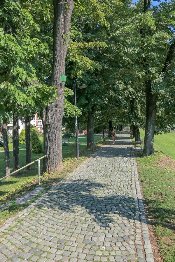 Ferienwohnung Apartman Marija Pirot Exterior foto
