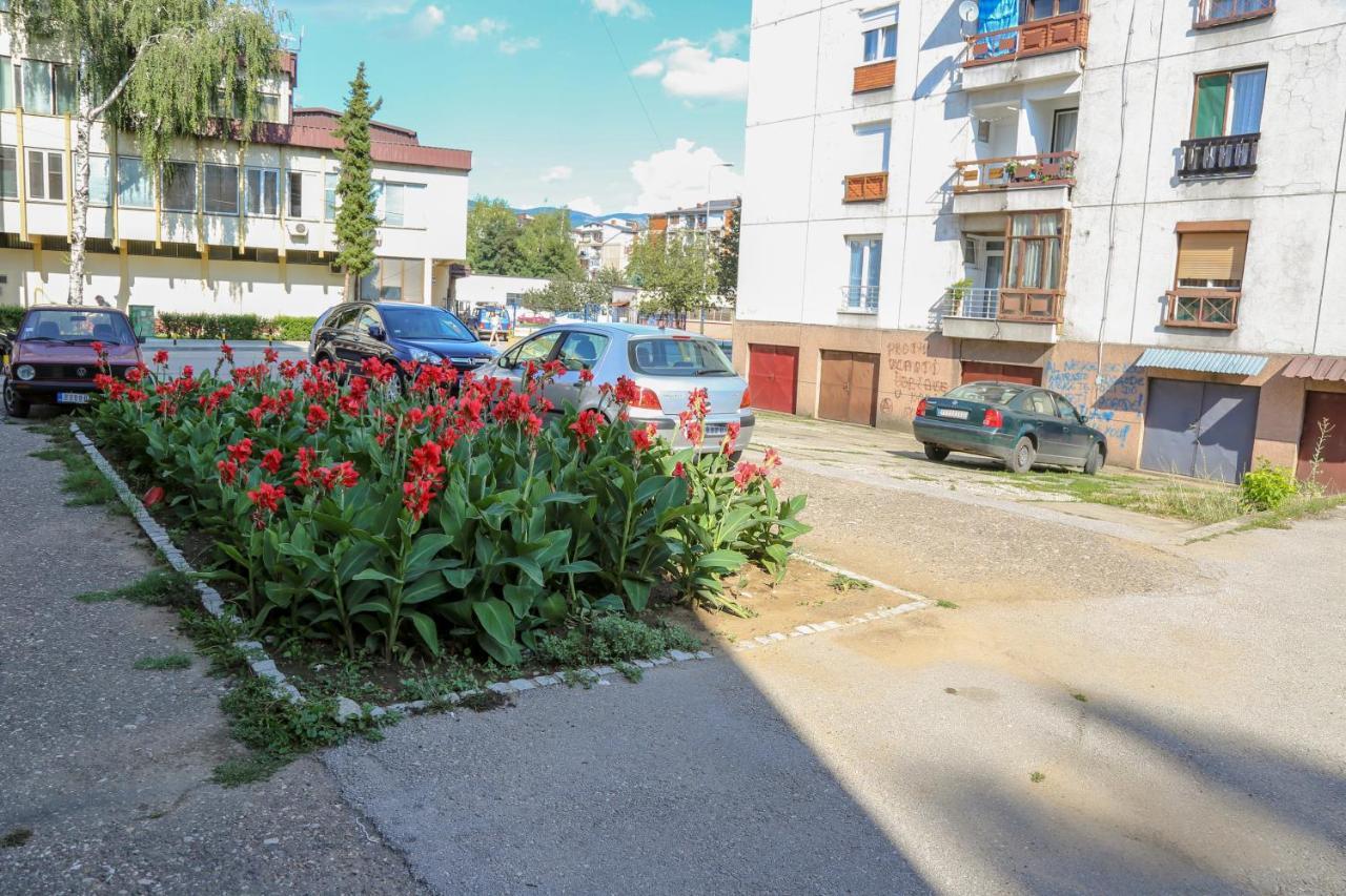 Ferienwohnung Apartman Marija Pirot Exterior foto